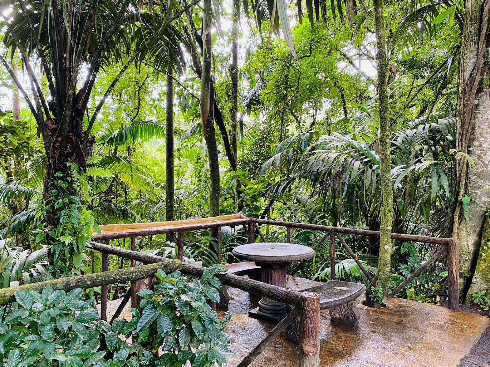 Wellness Park Cr Villa La Fortuna ภายนอก รูปภาพ